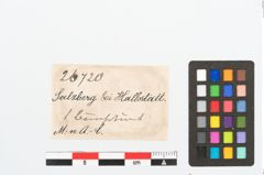 Etikett zu Bronzeösenknopf (NHMW-PRAE-026720)